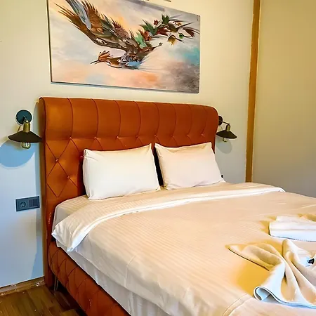 Hotel Bogaz *
