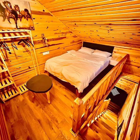 Bogaz Hotel Sapanca