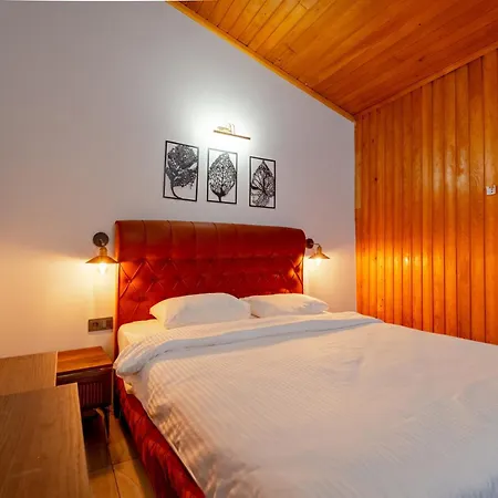 Hotel Bogaz *