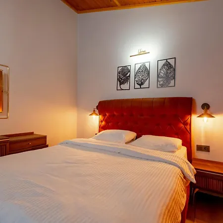 Bogaz Hotel